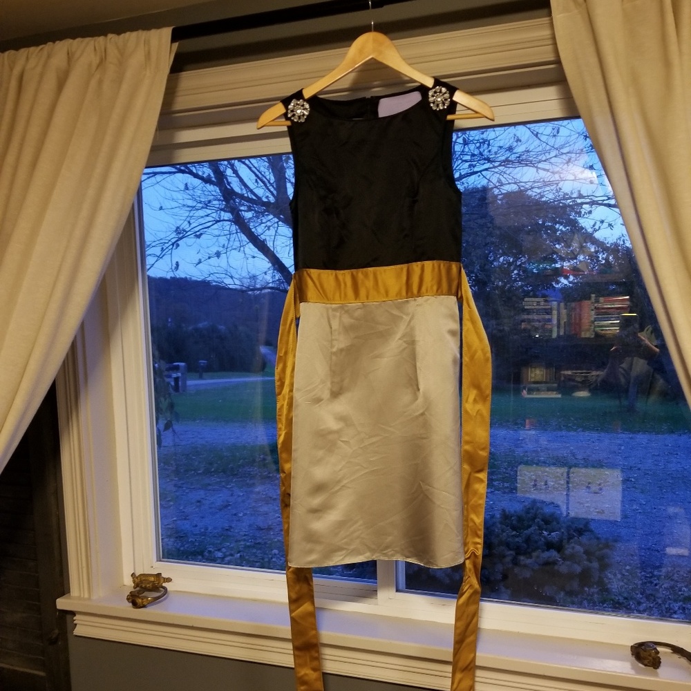 Vera Wang Lavender Label  Dress